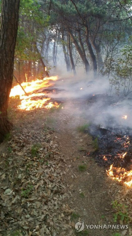 6일 경북 상주의 산불 모습 [연합뉴스 자료사진]